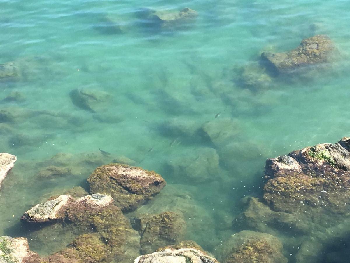 La Casetta Di Dory Sul Mare Appartement